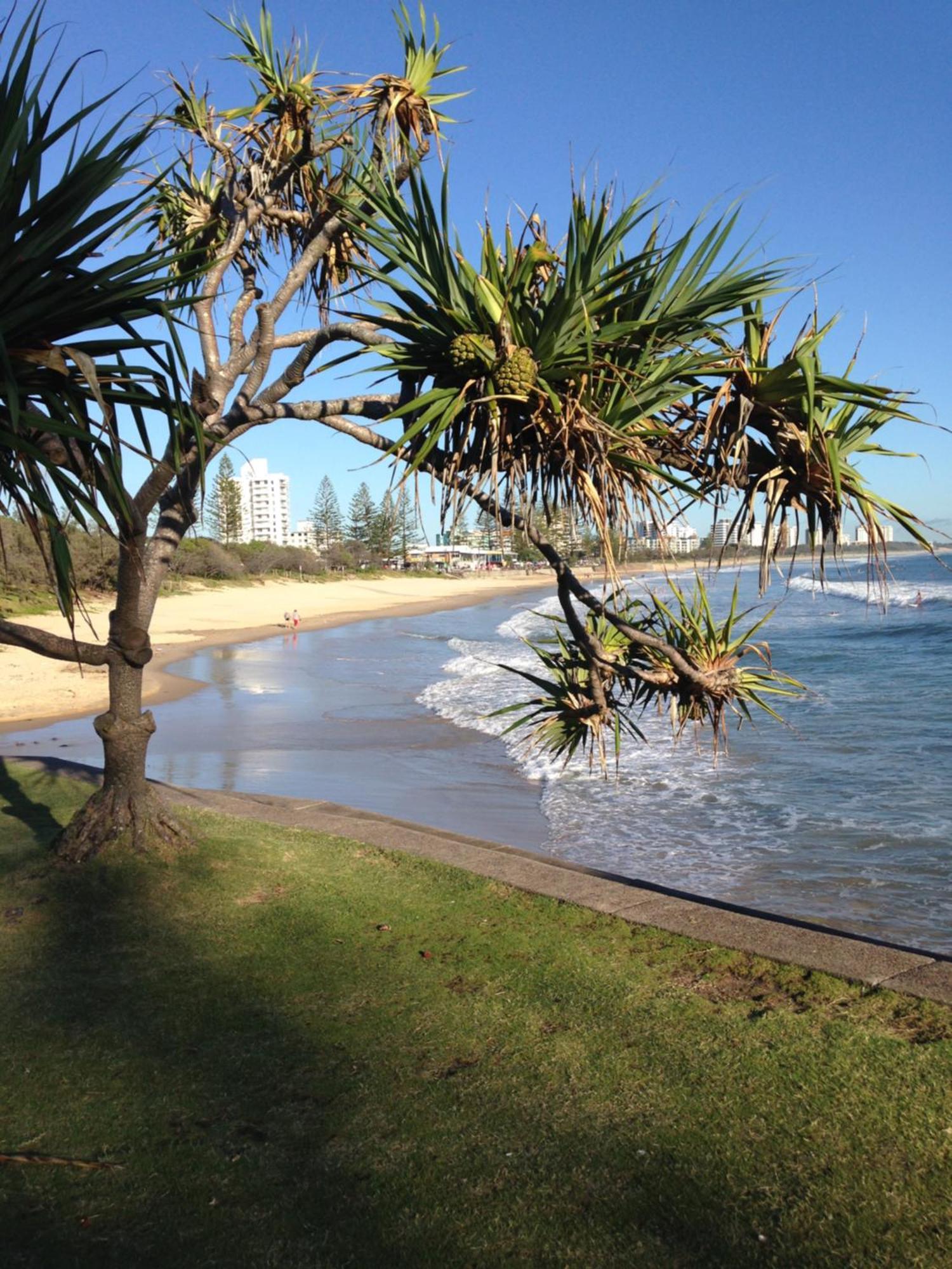 Grand Palais Boolarong Beachside Apartments Alexandra Headland Esterno foto